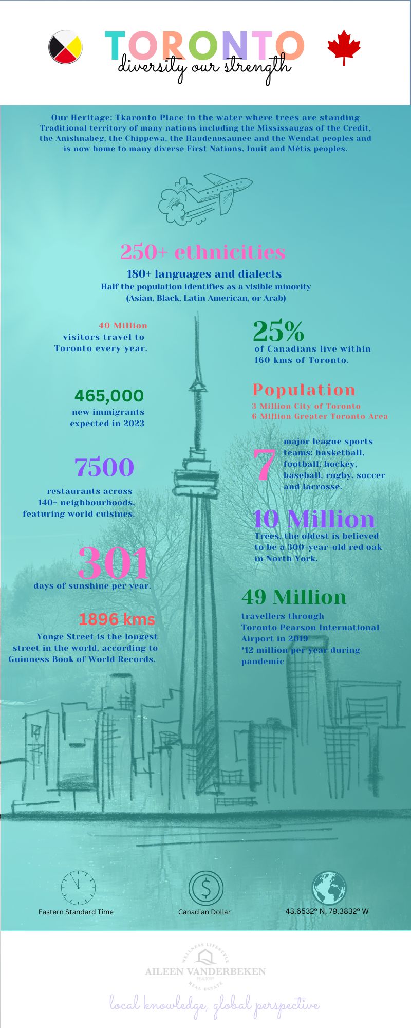 Toronto by the Numbers: Celebrating Diversity